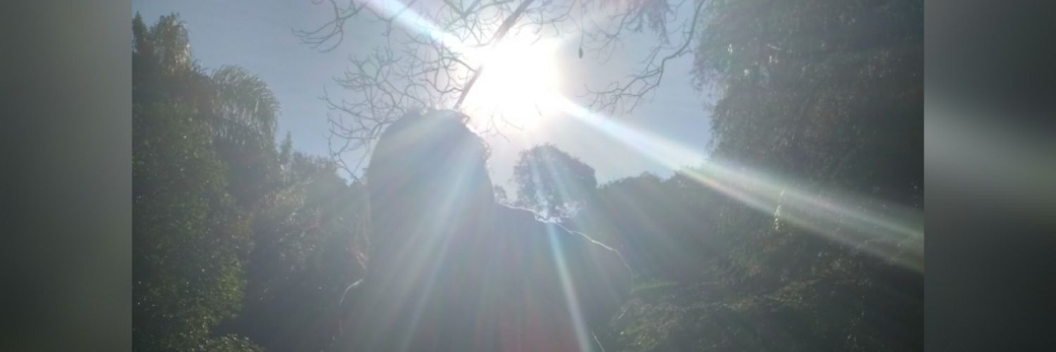 zedizv's profile banner image