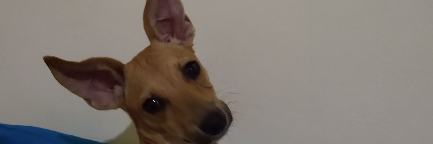 MularenoSandra's profile banner image
