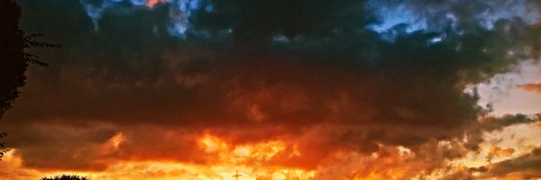 donbo1 Profile Banner