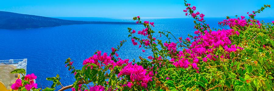 Ⓜ️Ⓜ️ Cihan Turan🌿 banner