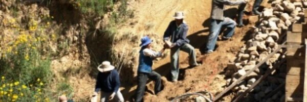 ManoaManoIntl Profile Banner