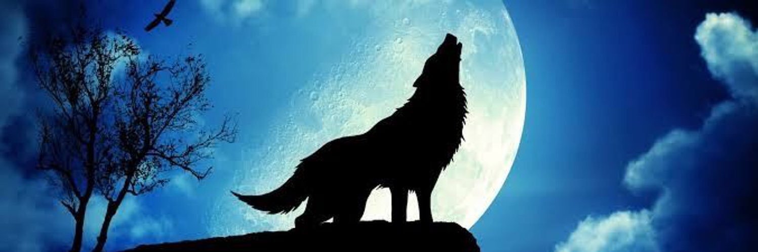 Aslan29Ferhat's profile banner image