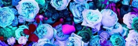 LauraBermudezD's profile banner image