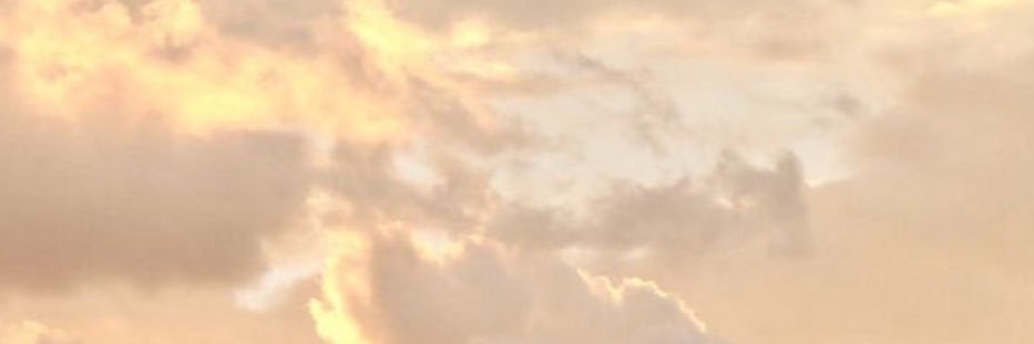 _multipetalsx's profile banner image