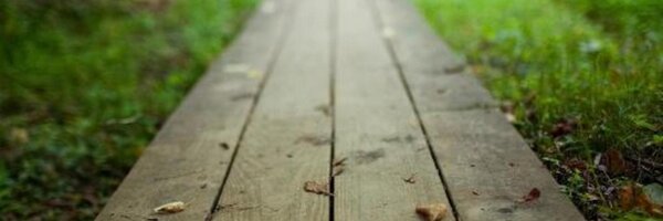 RoseA75 Profile Banner