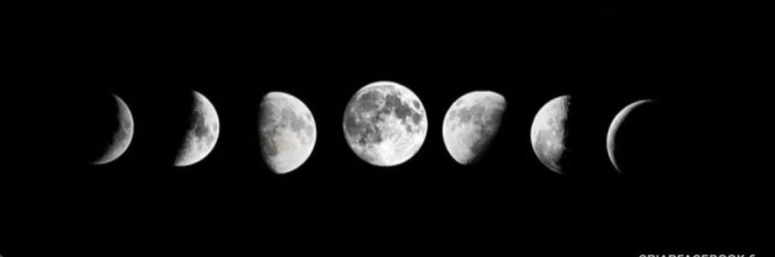 biancap_fonseca's profile banner image