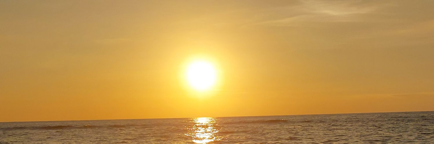 _leyniero's profile banner image