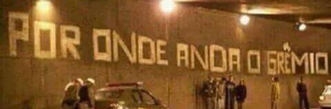 _tranquilandia's profile banner image
