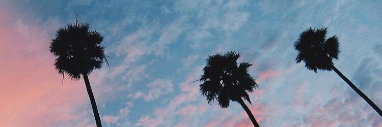 agneseparis's profile banner image