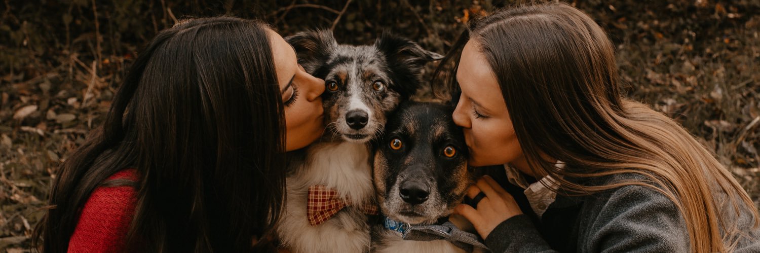 bri_hurst's profile banner image