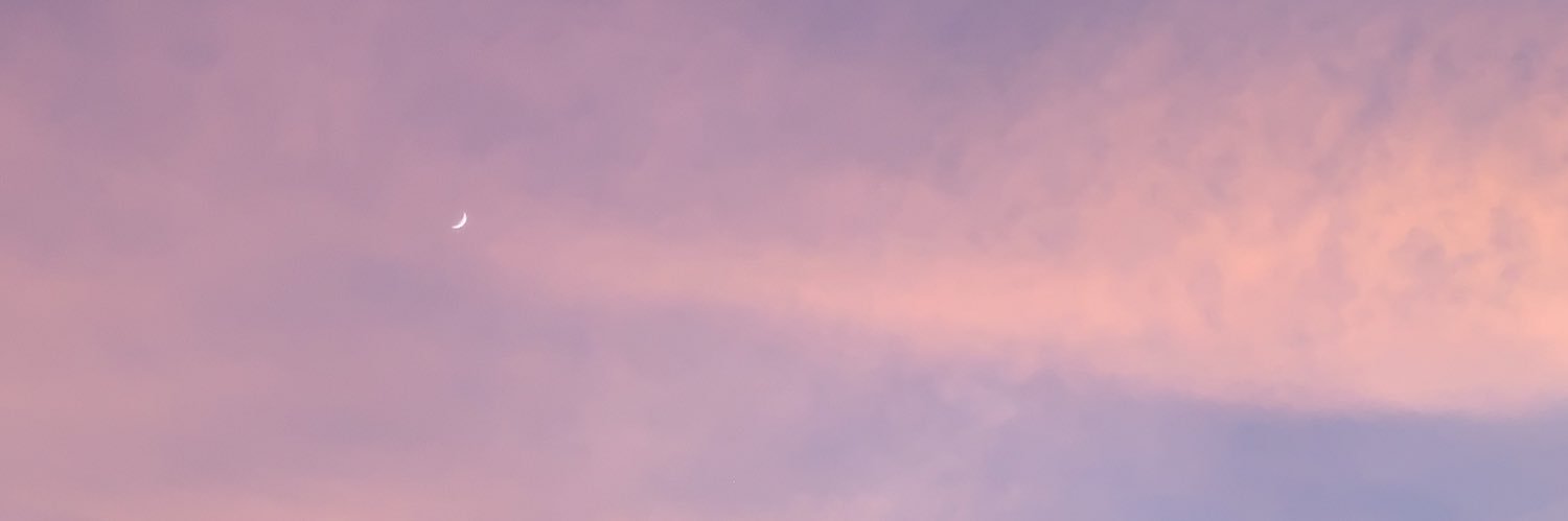 bolloyaa's profile banner image