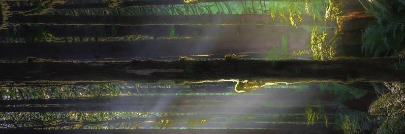 la_bele_'s profile banner image