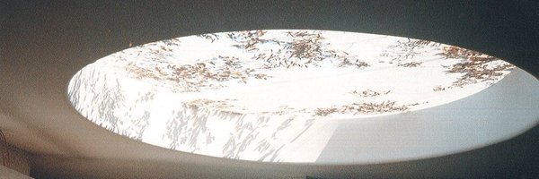 mmodaisy Profile Banner