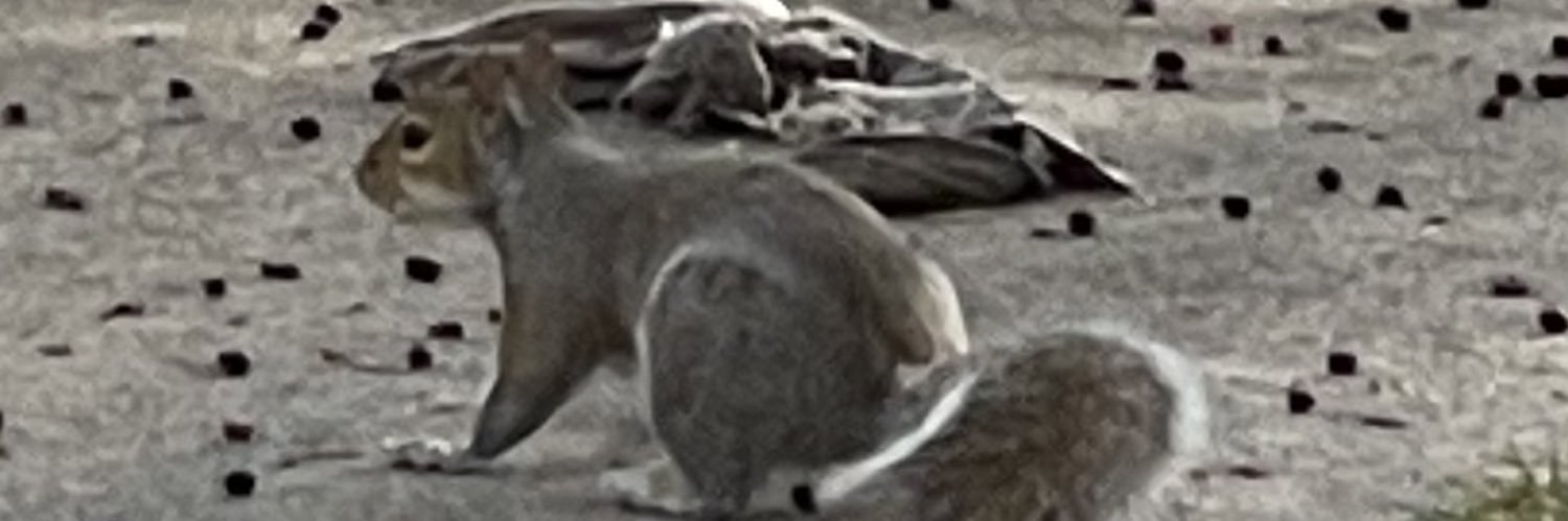 razor_ryan_757's profile banner image