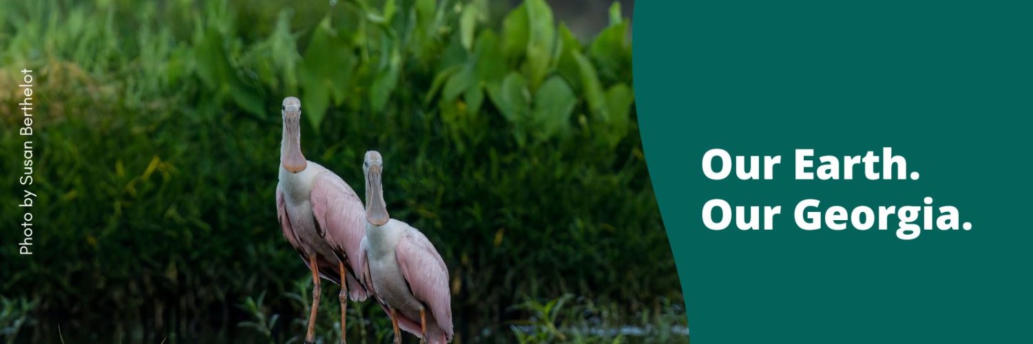 EarthShareGa's profile banner image