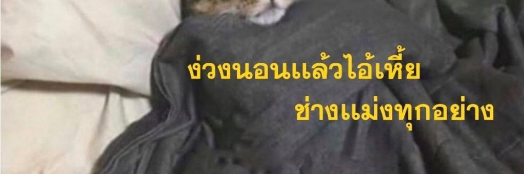 Pinniiz's profile banner image