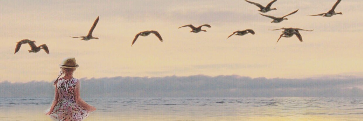 PhotoDoc banner