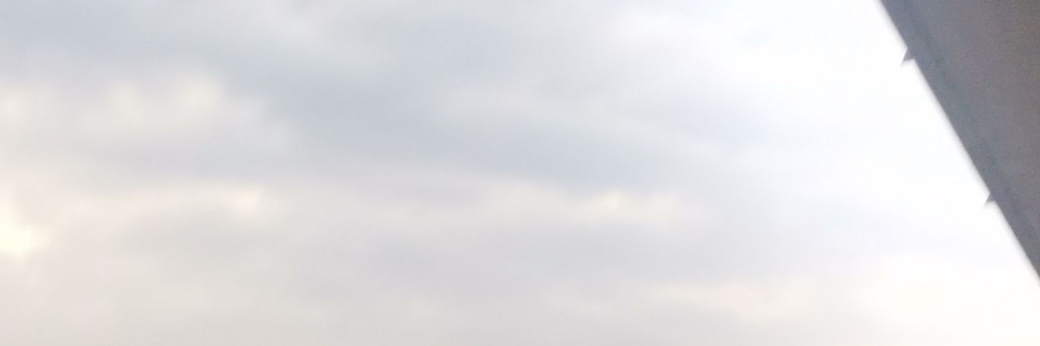 MaxiAlarcn1's profile banner image