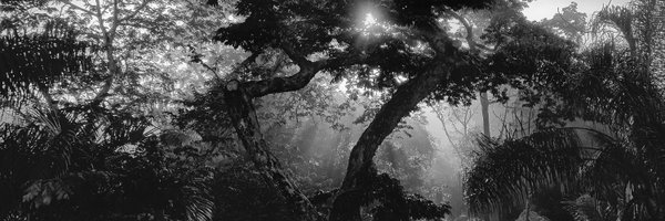 jeffharts Profile Banner