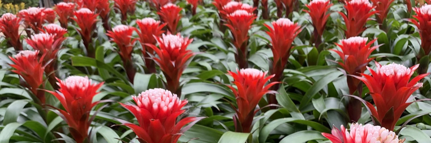 Mark “Danger” Bar 马克 📕 banner