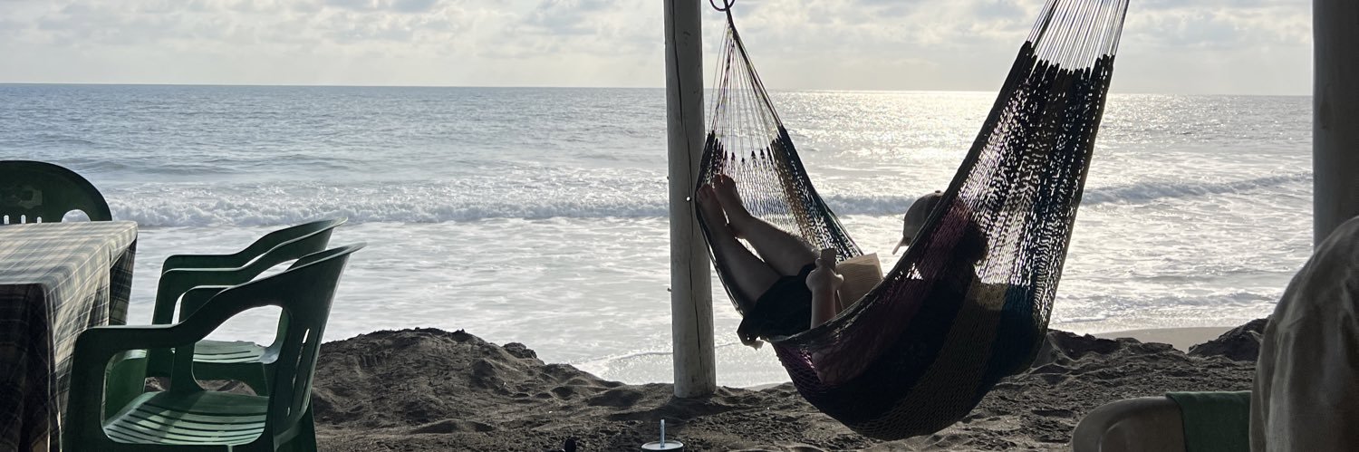 SarahMVetsch's profile banner image