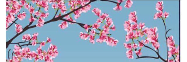 simon_scoops's profile banner image