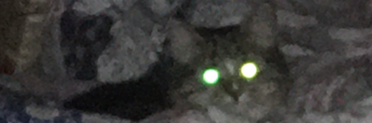 S42612's profile banner image