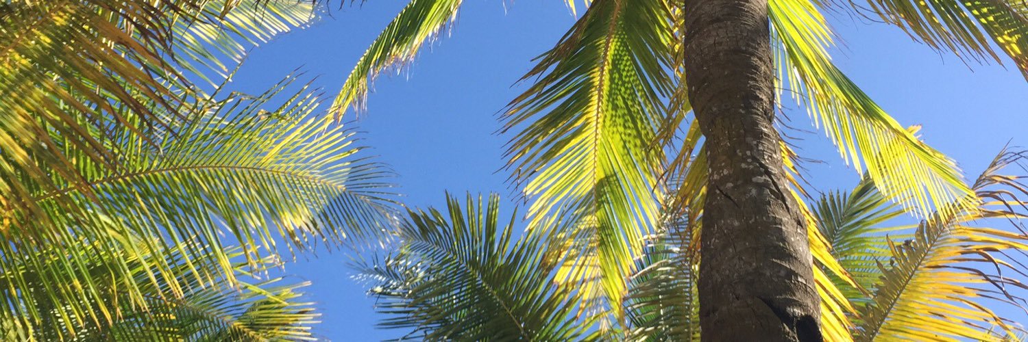 juleskelley's profile banner image