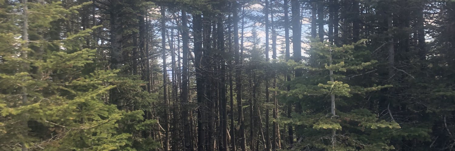 CarlyRepka's profile banner image