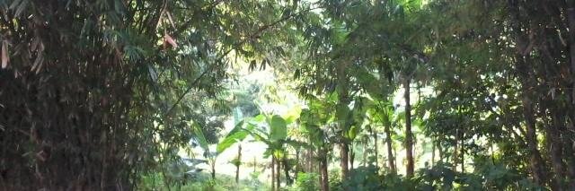 LRaehan's profile banner image