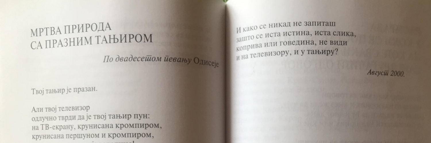 SneЖana Joksimovic banner