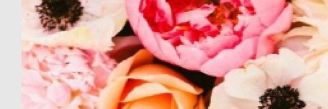mrrunner97's profile banner image