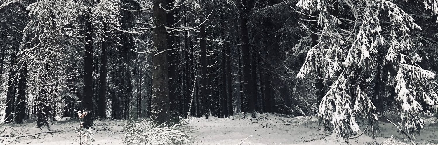 math_vlt's profile banner image