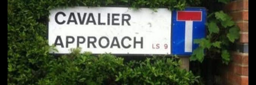 mallster's profile banner image