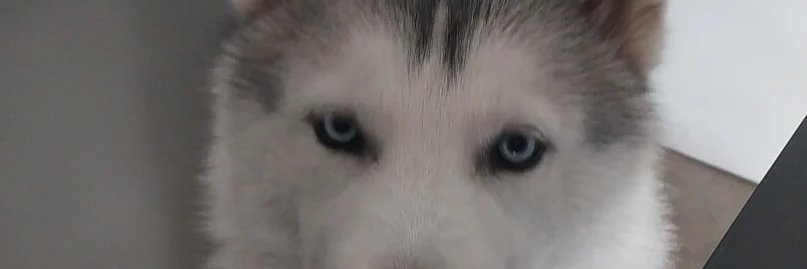 isihux's profile banner image