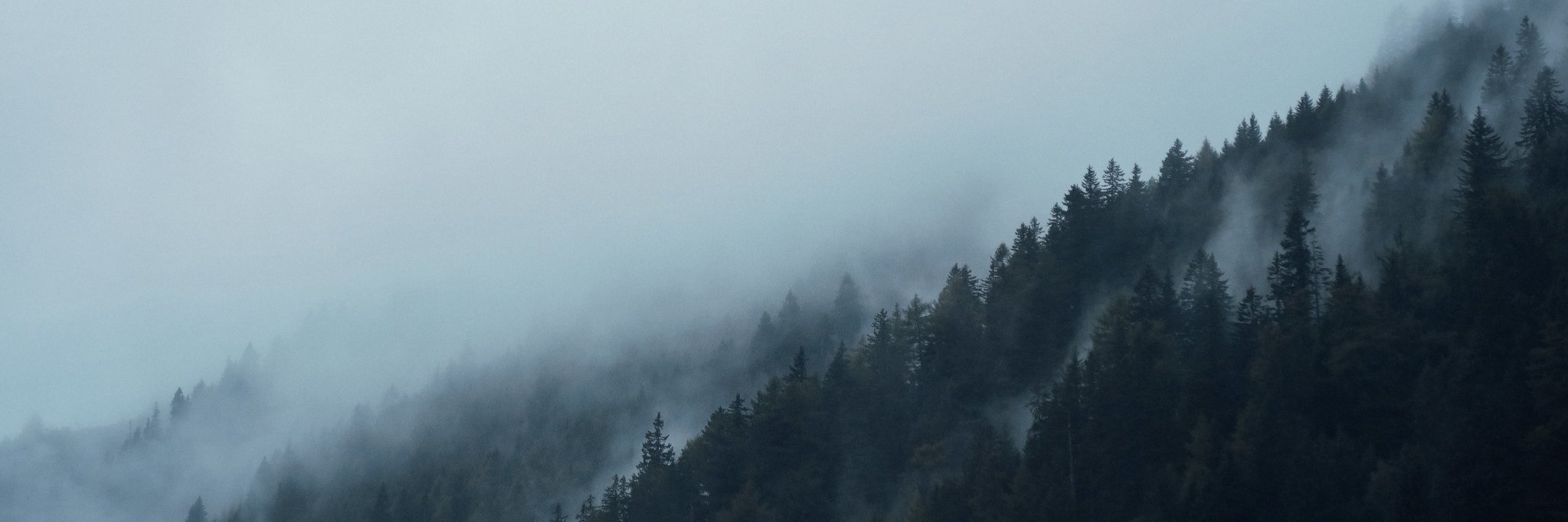 StevenVanSloun's profile banner image