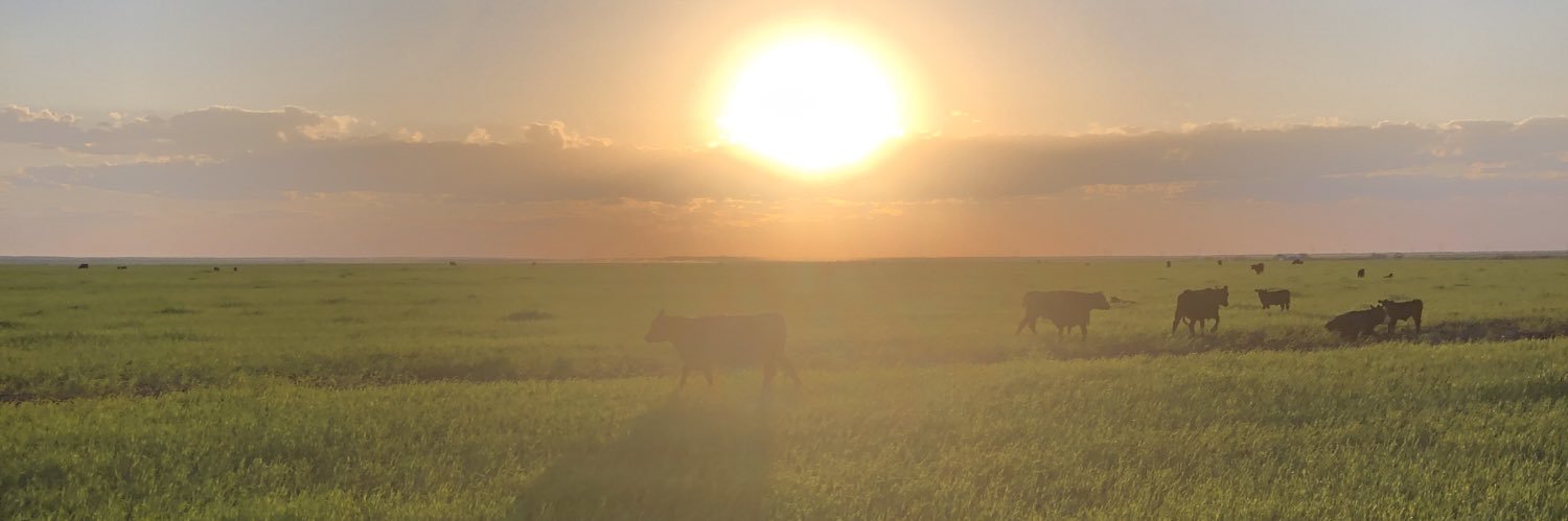 CarterJ36's profile banner image