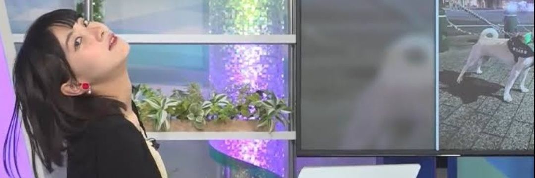 ゆっこ(^p^) banner