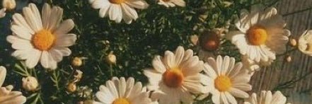 mema_636's profile banner image