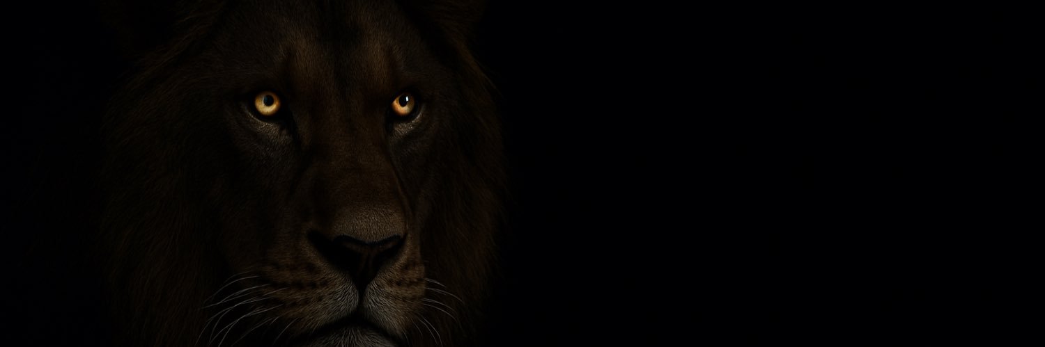 dokunusbursa's profile banner image
