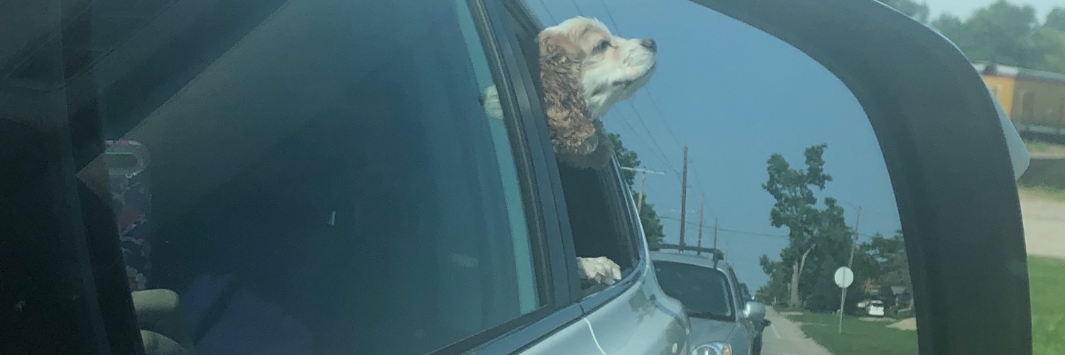 Taylor___Anne1's profile banner image