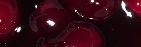mickyyra's profile banner image
