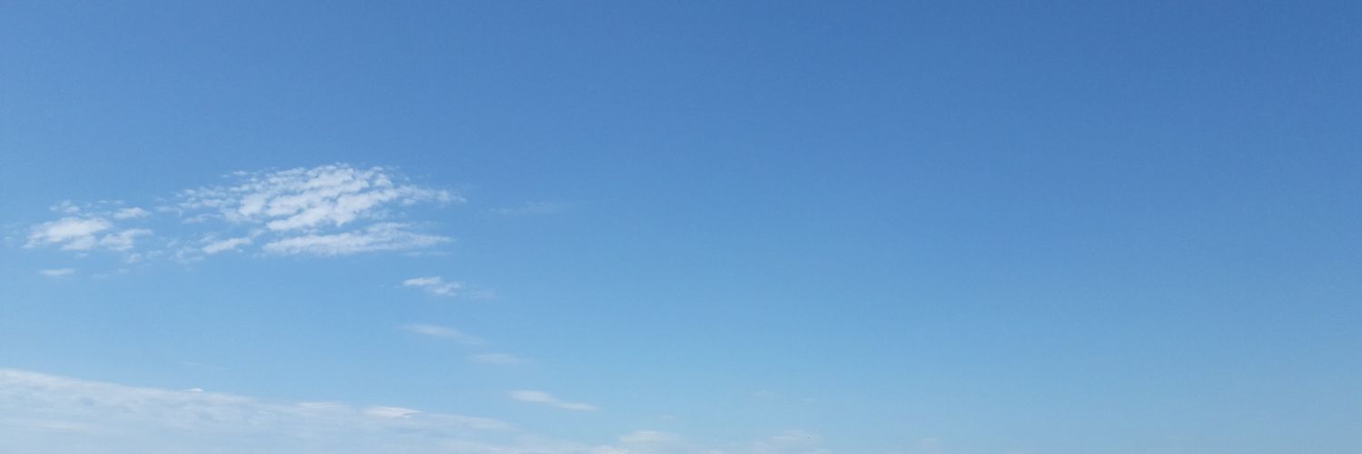 syl🍷 banner