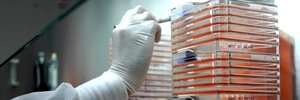 vroseph's profile banner image