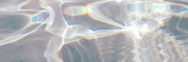 shut up chelsey banner