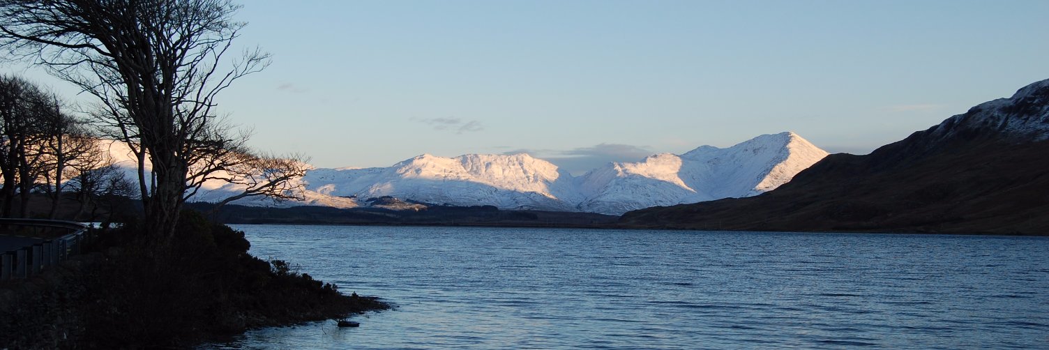 Nicholas Devaney banner