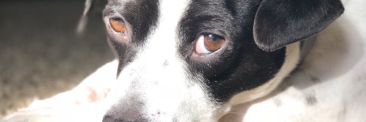 Bridgettbre's profile banner image