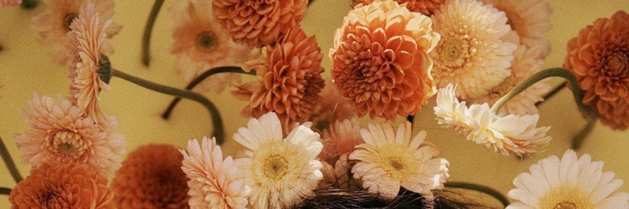 belacomentaa's profile banner image