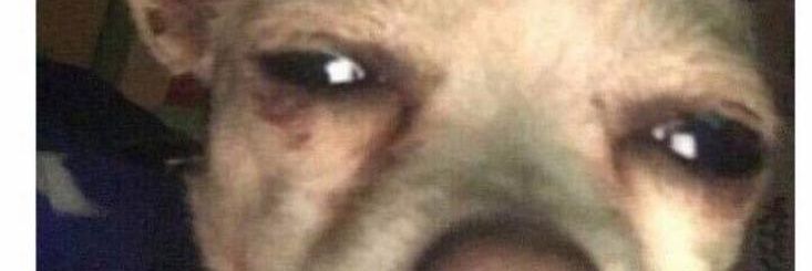 J_VILLEGAS27's profile banner image