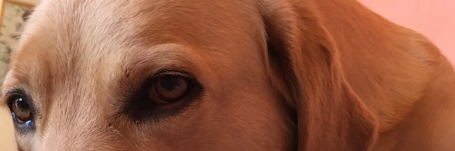 sersuarez5's profile banner image